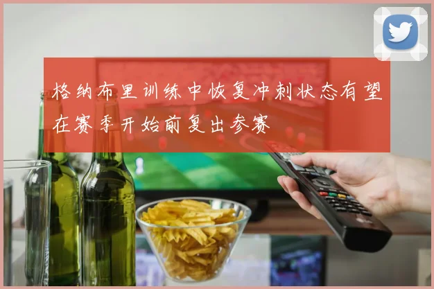 格纳布里训练中恢复冲刺状态有望在赛季开始前复出参赛